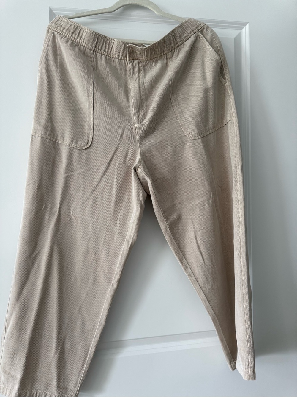 Zara Wide Leg Pants in Light Beige